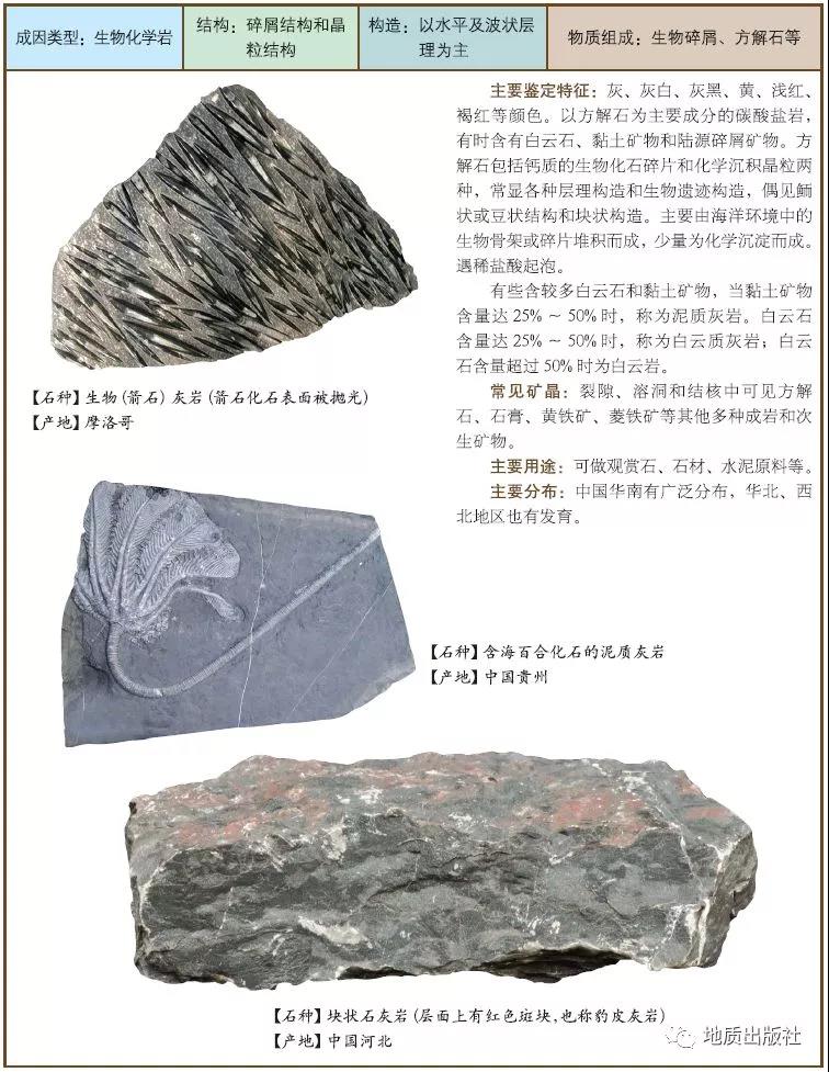 6 石灰巖.jpg